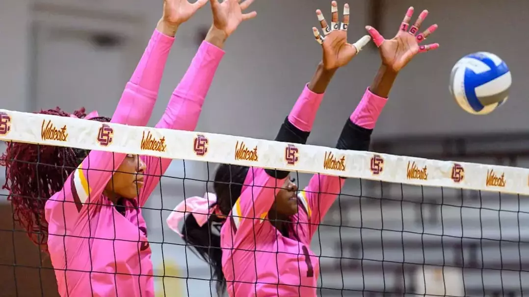 Volleyball Sets School Record Win Streak